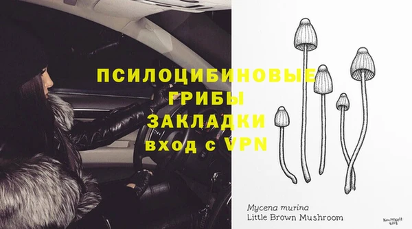 тгк Аркадак