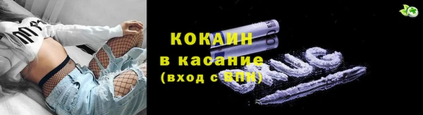 дмт Арсеньев