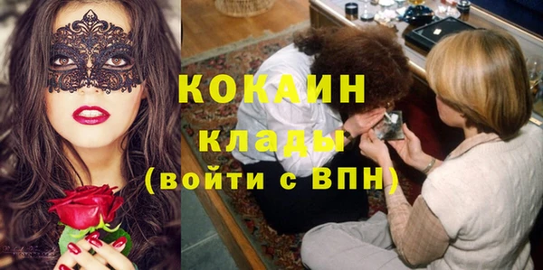 дмт Арсеньев