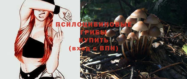 дмт Арсеньев