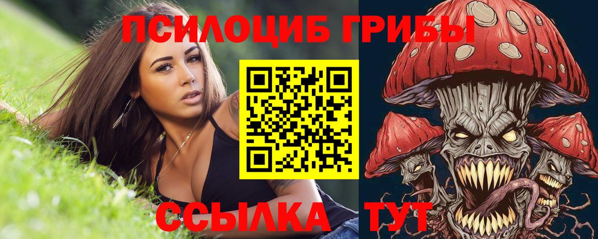 Галлюциногенные грибы мицелий Верхняя Салда