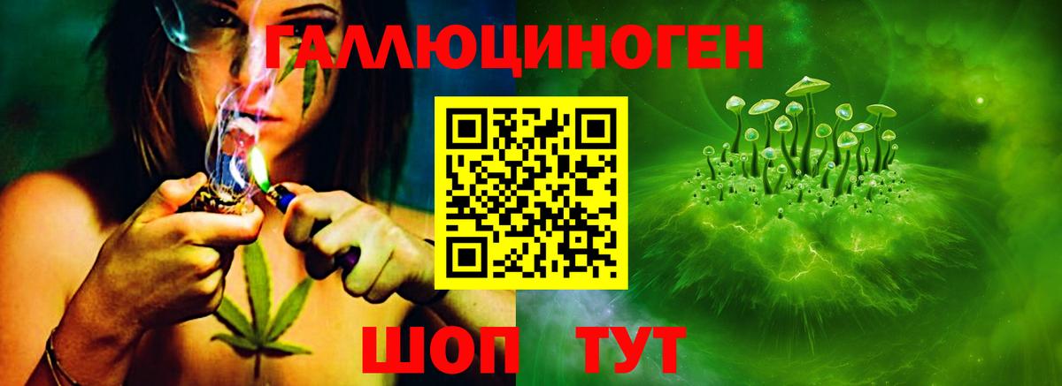 Галлюциногенные грибы Psilocybe  Верхняя Салда 